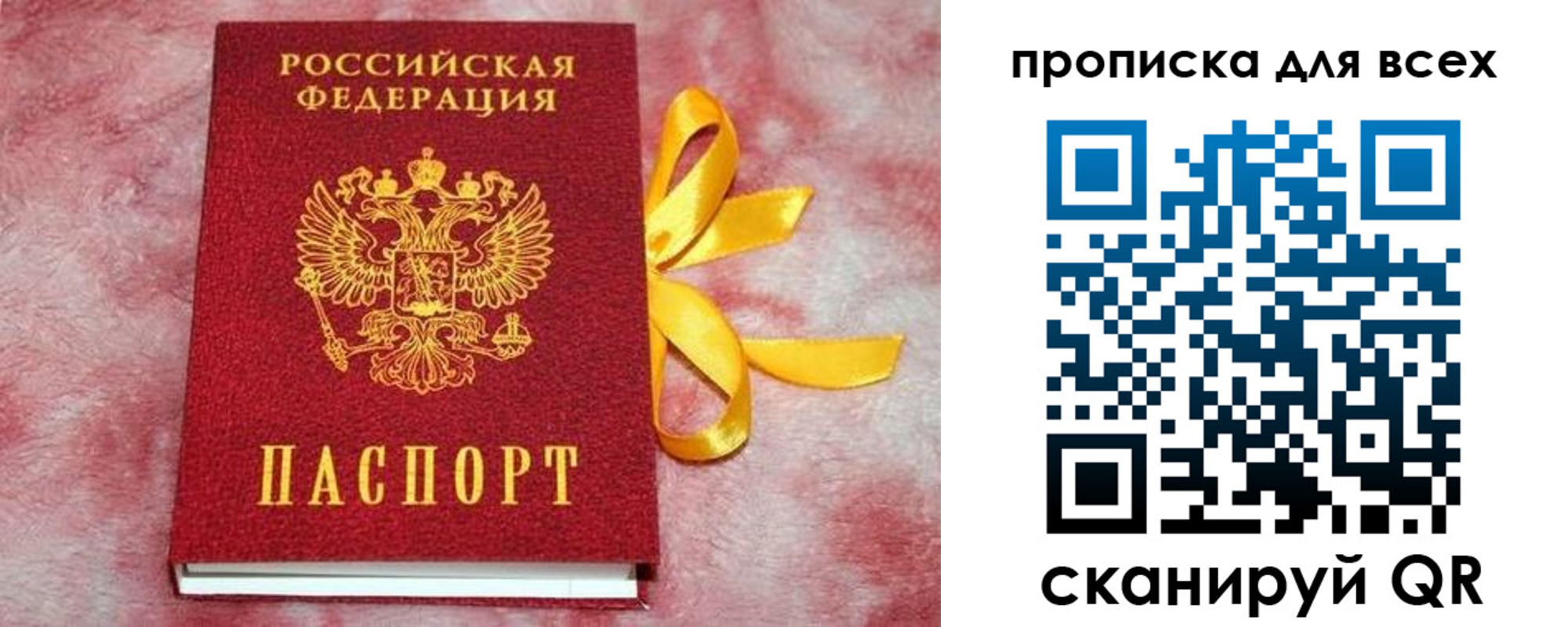 прописка для школы в Сертолово